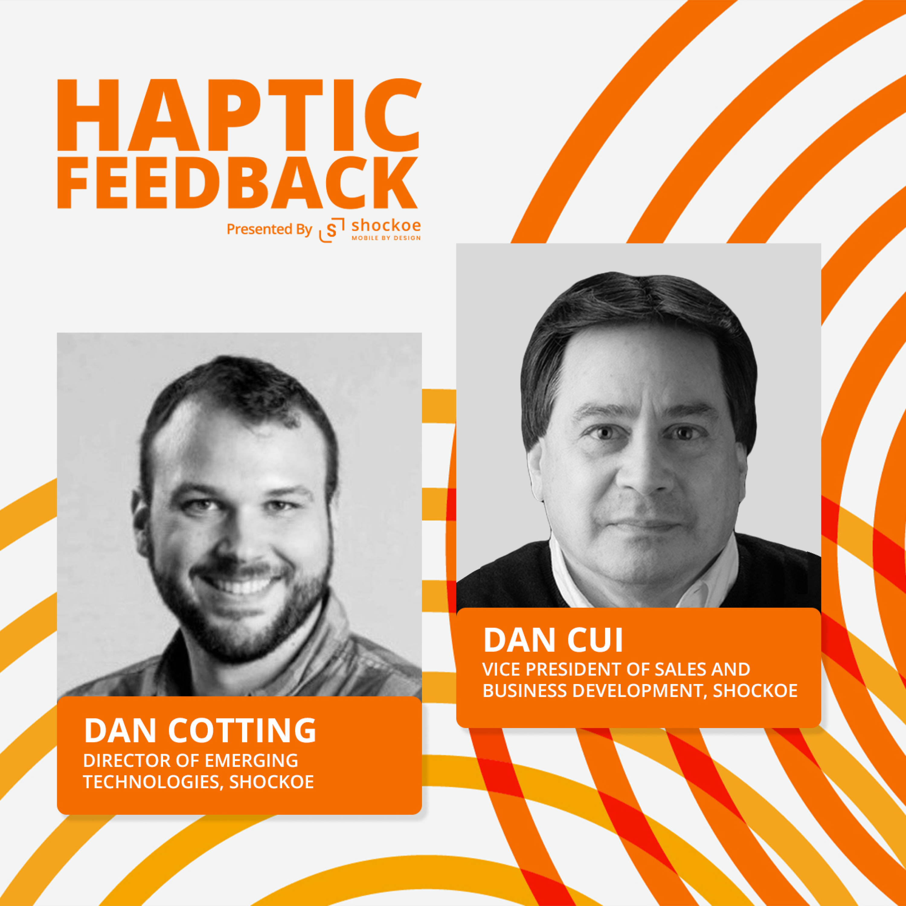 Haptic Feedback