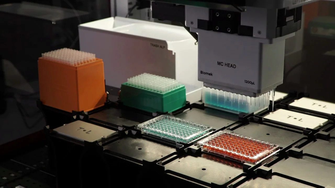 Biomek i-Series: 96 Multichannel Selective Tip Pipetting by Row and by  Column without Intro