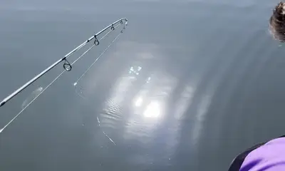 Captain Jeff was accommodating, knowledgable and FUN!