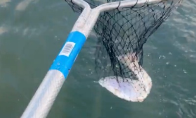 I looked at it less of a charter and more of making a bond with some friends