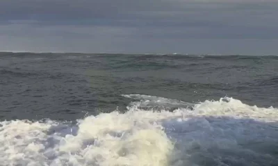 Norfolk Bericht Video 0