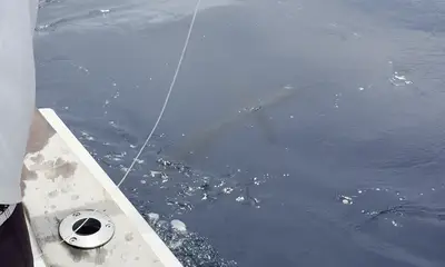 Guanacaste Report Video 2