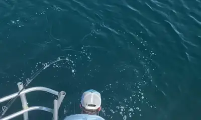 Biloxi Report Video 0