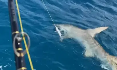 Miami Report Video 0