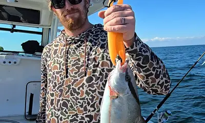 St. Simons Island Report Video 0