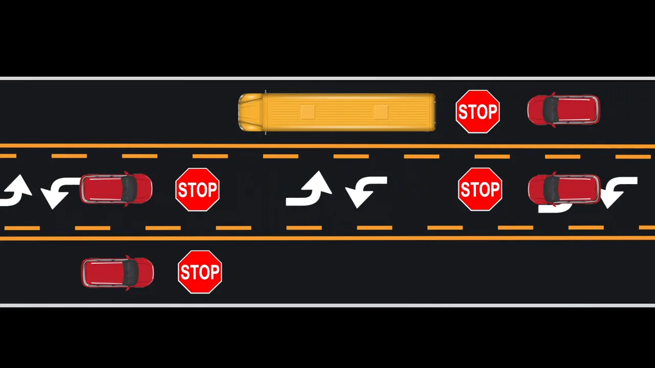 Stop for School Bus Red Lights