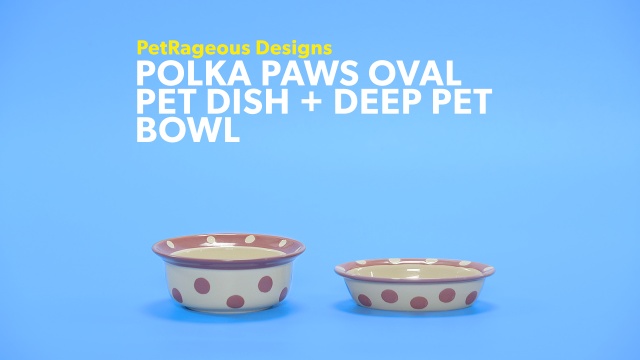 Petrageous Designs Meow Flair 5 Bowl 2 Cups Pink Multi