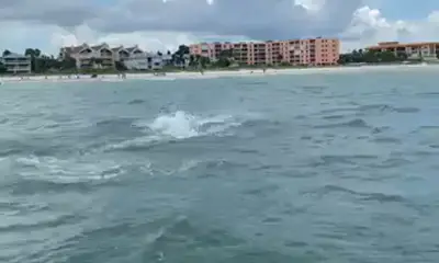 Clearwater Report Video 2