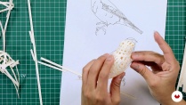 Lesson image
