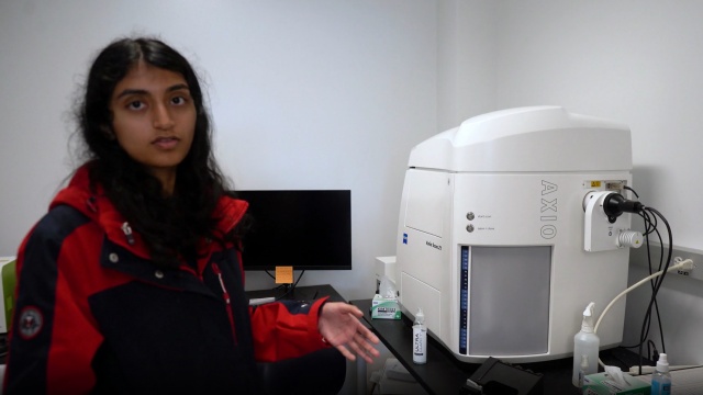 Tutorial: Brain Section Imaging on the Axioscan 7