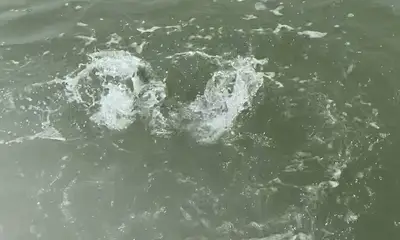 Texas City Report Video 1