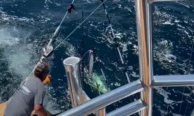Manteo Report Video 0