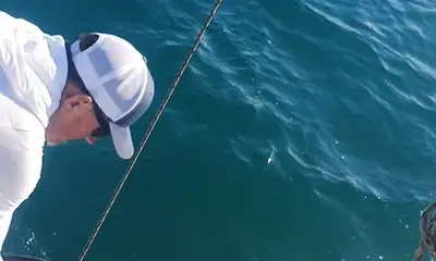 Cabo San Lucas Report Video 0