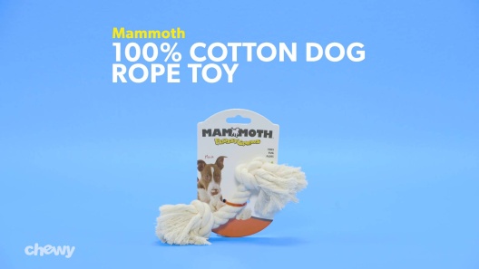 Play Video: Learn More About Mammoth From Our Team of Experts