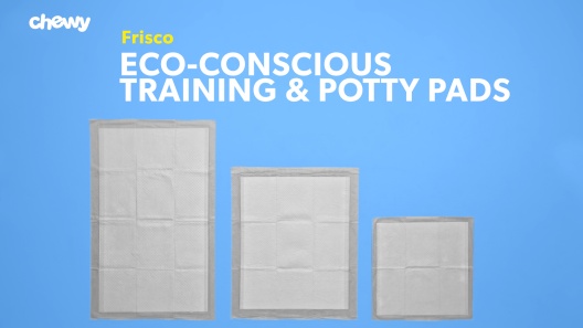 Play Video: Learn More About Frisco From Our Team of Experts