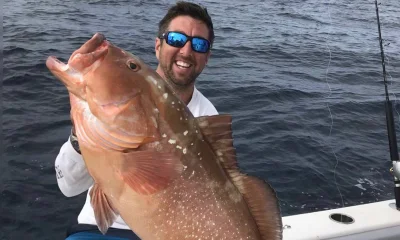 Madeira Beach Report Video 1