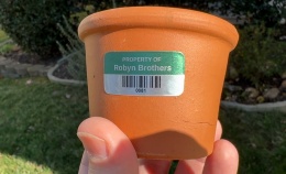 FoilGuard® Aluminum Foil Labels