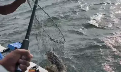 Best Charter for Families: Patient Crew Makes Fishing Magic for Kids