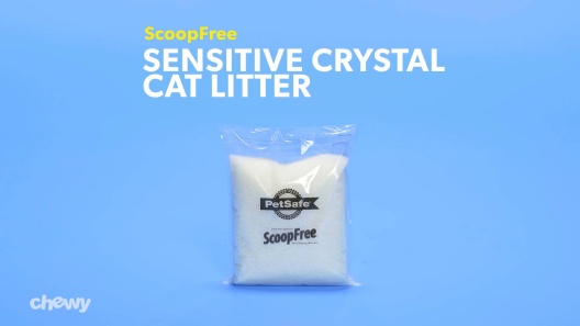Play Video: Learn More About ScoopFree From Our Team of Experts