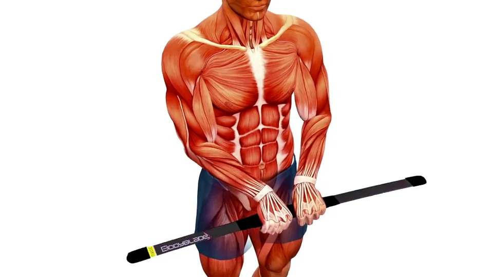 Bodybladeボディブレード筋トレ器具体幹背筋胸筋腹筋強化トレーニング - スポーツ別