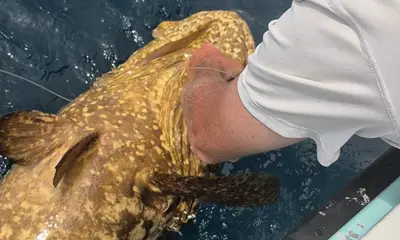 Destin Видео отчет 0