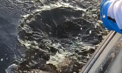 South Bay Report Video 0