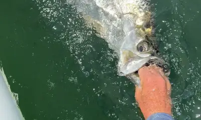 Jacksonville Report Video 0