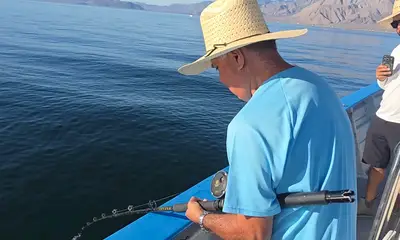 Bahía de los Ángeles Bericht Video 0