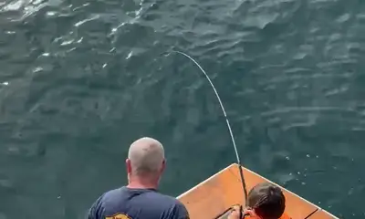 Dana Point Report Video 2