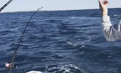 Wanchese Report Video 0