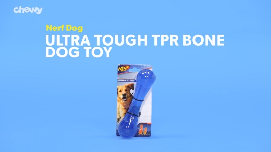 Play Video: Learn More About Nerf Dog From Our Team of Experts