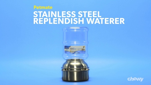 PETMATE Stainless Steel Replendish Waterer, Small, 1-gal
