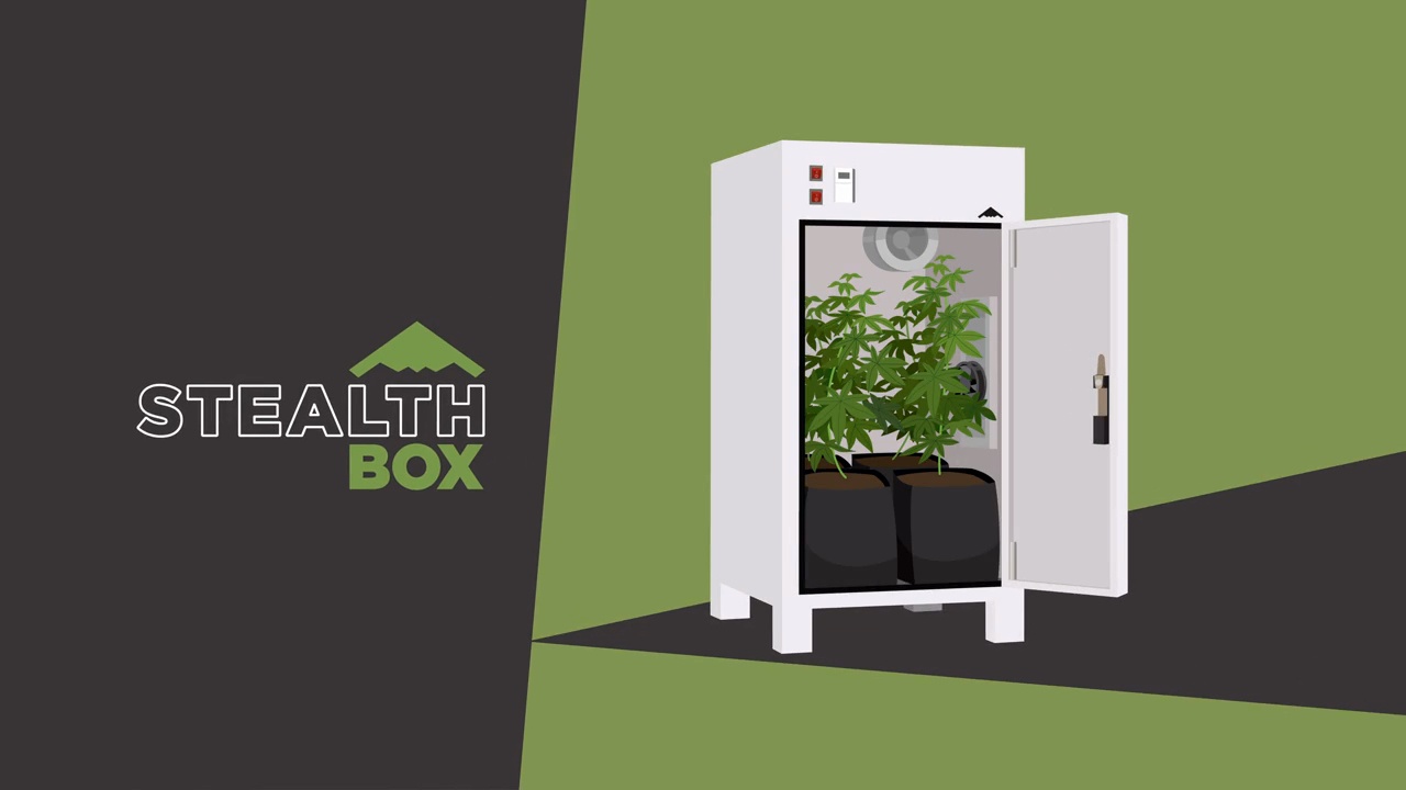 Stealthbox explainer video example