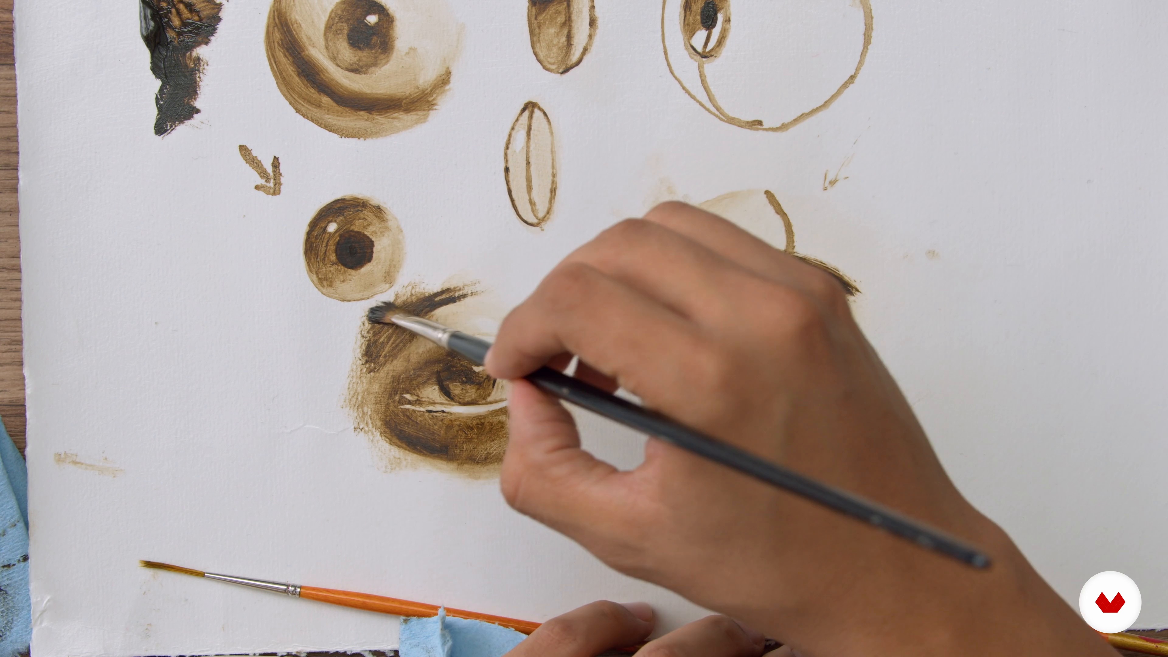 The eye