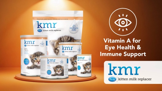PetAg KMR Powder Milk Supplement for Kittens