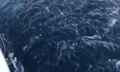 Carolina Beach Bericht Video 0