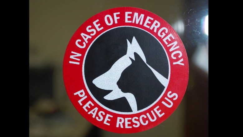 Pet Rescue Stickers
