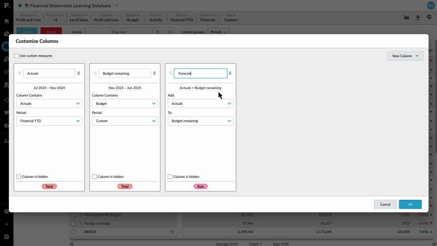 Add custom columns to financial reports