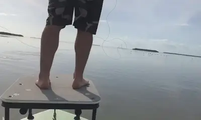 Miami Report Video 0