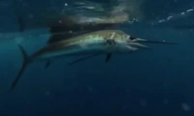 Pompano Beach Report Video 0
