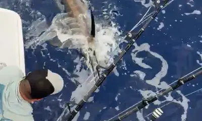 December fishing trip