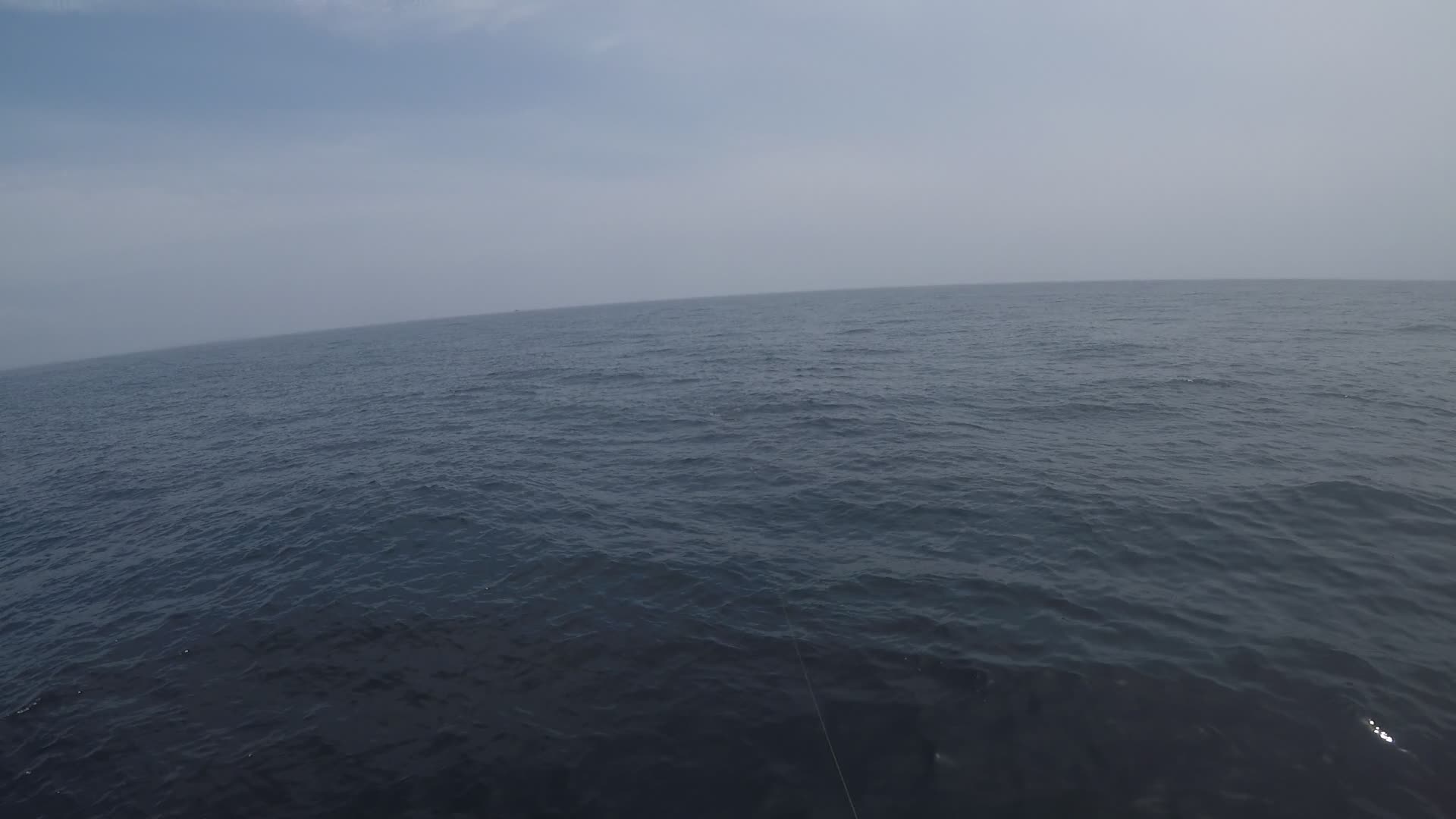 bloodydecks rods reels