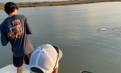 Great catch of reds, all between 25-29 inches!