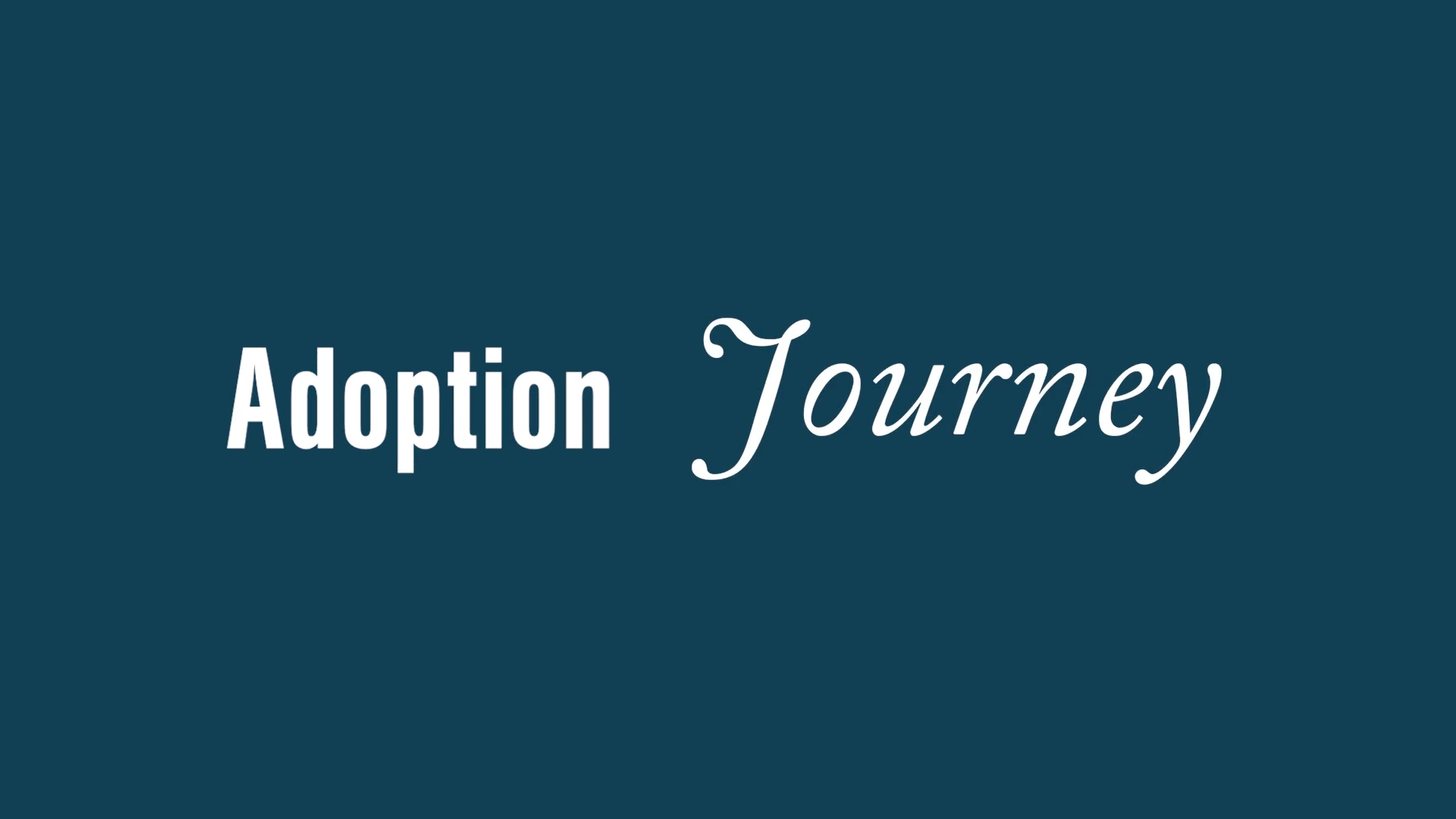 Unplanned Pregnancy, Planned Adoption- 3 Women Share Their Stories - Birth  Moms Tell Their Adoption Stories