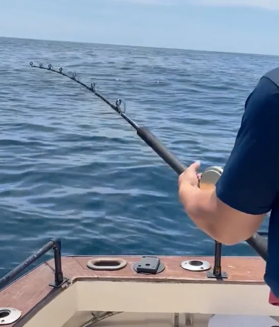 Business Card: My Mate Charters – Shark Fishing