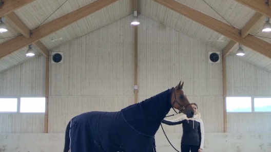 Play Video: Learn More About Horze Equestrian From Our Team of Experts