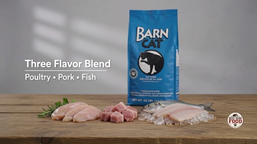 BARN CAT Adult High Quality Flavor Combination Chicken, Pork & Fish ...