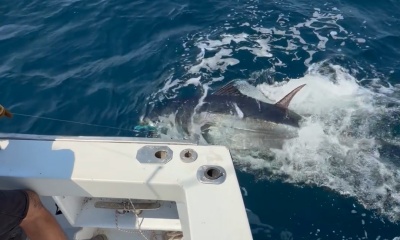Best trip ever! 