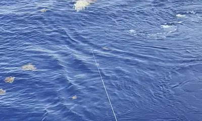 West Palm Beach Report Video 1