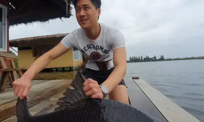 Bangkok Report Video 0